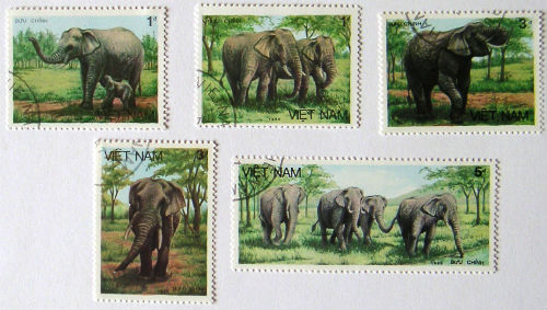 Timbres · Vietnam
