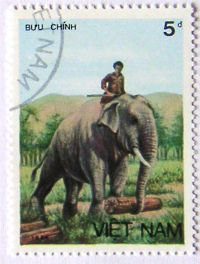 Timbres · Vietnam