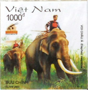 Timbres · Vietnam