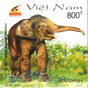 Timbres · Vietnam