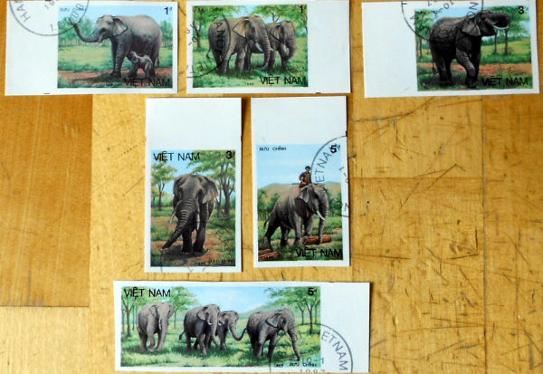 Timbres · Vietnam