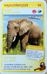 Cartes · Dream Works