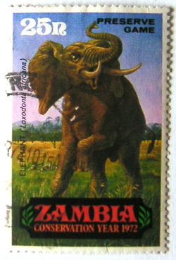 Timbres · Zambia
