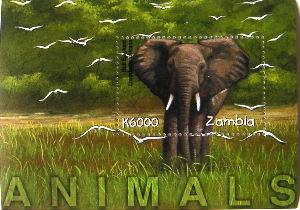Timbres · Zambia