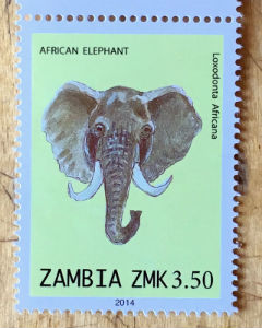 Timbres · Zambia