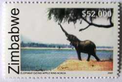 Timbres · Zimbabwe