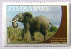 Timbres · Zimbabwe