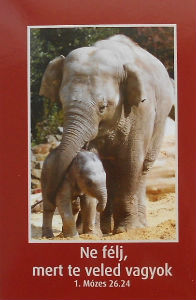 Cartes · Cartes postales Asie