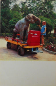 Cartes · Cartes postales Asie